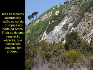 Mas as maiores
ocorrências
estão no sul da
Europa e no
norte da África.
Trata-se de uma
vegetação
esparsa, que
possui três
estados: um
arbóreo,
 
