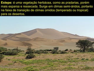 Estepe: é uma vegetação herbácea, como as pradarias, porém
mais esparsa e ressecada. Surge em climas semi-áridos, portanto
na faixa de transição de climas úmidos (temperado ou tropical)
para os desertos.
 