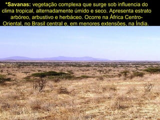 *Savanas: vegetação complexa que surge sob influencia do
clima tropical, alternadamente úmido e seco. Apresenta estrato
arbóreo, arbustivo e herbáceo. Ocorre na África Centro-
Oriental, no Brasil central e, em menores extensões, na Índia.
 