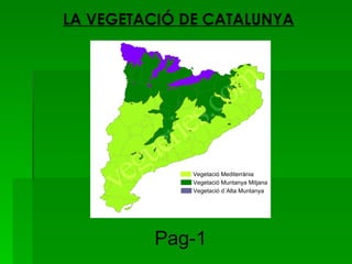 LA VEGETACIÓ DE CATALUNYA




              Vegetació Mediterrània
              Vegetació Muntanya Mitjana
              Vegetació d´Alta Muntanya




         Pag-1
 
