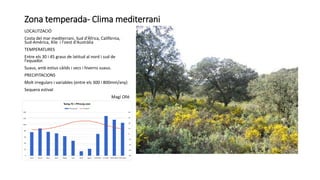Zona temperada- Clima mediterrani
LOCALITZACIÓ
Costa del mar mediterrani, Sud d'Àfrica, Califòrnia,
Sud-Amèrica, Xile i l'oest d'Austràlia
TEMPERATURES
Entre els 30 i 45 graus de latitud al nord i sud de
l'equador.
Suaus, amb estius càlids i secs i hiverns suaus.
PRECIPITACIONS
Molt irregulars i variables (entre els 300 i 800mm/any)
Sequera estival
Magí Ollé
 