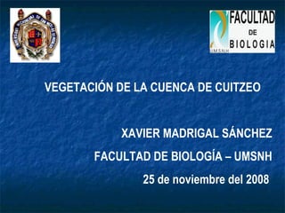 VEGETACIÓN DE LA CUENCA DE CUITZEO XAVIER MADRIGAL SÁNCHEZ FACULTAD DE BIOLOGÍA – UMSNH 25 de noviembre del 2008  