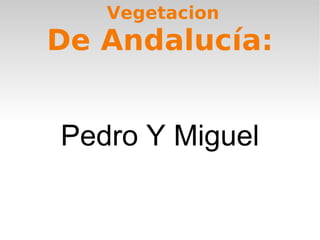 Vegetacion De Andalucía: Pedro Y Miguel 