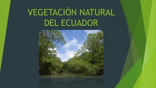 VEGETACIÓN NATURAL
   DEL ECUADOR
 