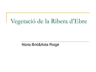 Vegetació de la Ribera d’Ebre Núria Brió&Aida Roigé 