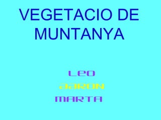 VEGETACIO DE
 MUNTANYA

    Leo
   AARON
   Marta
 