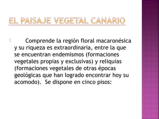  
 Comprende la región floral macaronésica
y su riqueza es extraordinaria, entre la que
se encuentran endemismos (formaciones
vegetales propias y exclusivas) y reliquias
(formaciones vegetales de otras épocas
geológicas que han logrado encontrar hoy su
acomodo). Se dispone en cinco pisos:
 