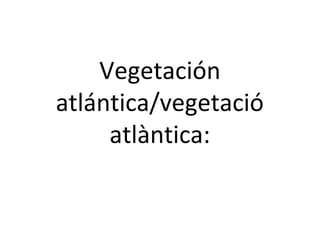 Vegetación
atlántica/vegetació
atlàntica:

 