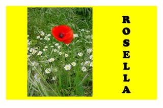 R O S E L L A