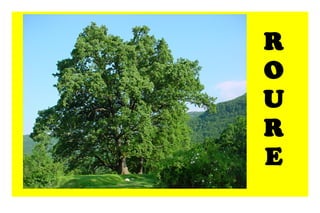 R O U R E
