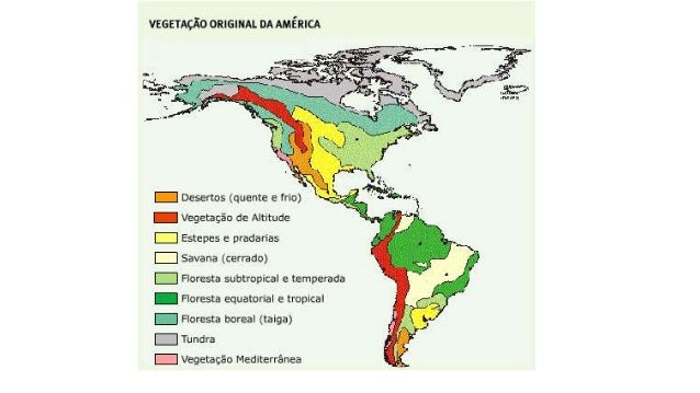 Vegetações da américa
