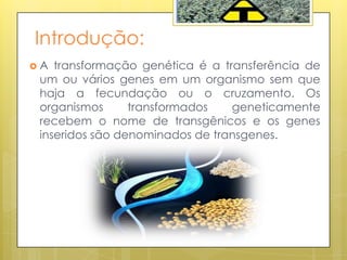 Introdução:
 A transformação genética é a transferência de
um ou vários genes em um organismo sem que
haja a fecundação ou o cruzamento. Os
organismos transformados geneticamente
recebem o nome de transgênicos e os genes
inseridos são denominados de transgenes.
 