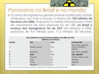 Panorama no Brasil e no mundo:
 O cultivo de organismos geneticamente modificados (OGM)
ultrapassou, em todo o mundo, a marca dos 102 milhões de
hectares em 2006. Enquanto na média internacional o ritmo
de crescimento da área plantada foi de 13%, no Brasil o
avanço dos transgênicos foi de 22% em relação a 2005,
passando de 9,4 milhões para 11,5 milhões de hectares.
Área Global de Lavouras biotecnológicas em 2006: por País
(Milhões de Hectares)
Posição País Área Lavouras GM
1º Estados Unidos 54,6
Soja, milho, algodão,
canola, abóbora,
papaia
2º Argentina 18 Soja, milho, algodão
3º Brasil 11,5 Soja, Algodão
4º Canadá 6,1 Canola, Milho e soja
5º Índia 3,8 Algodão
6º China 3,5 Algodão
7º Paraguai 2,0 Soja
Fonte: Serviço Internacional para a Aquisição de Aplicações em Agrobiotecnologia (ISAAA) 2006
 