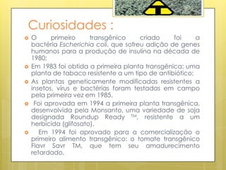 Curiosidades :
 O primeiro transgênico criado foi a
bactéria Escherichia coli, que sofreu adição de genes
humanos para a produção de insulina na década de
1980;
 Em 1983 foi obtida a primeira planta transgênica: uma
planta de tabaco resistente a um tipo de antibiótico;
 As plantas geneticamente modificadas resistentes a
insetos, vírus e bactérias foram testadas em campo
pela primeira vez em 1985.
 Foi aprovada em 1994 a primeira planta transgênica,
desenvolvida pela Monsanto, uma variedade de soja
designada Roundup Ready TM, resistente a um
herbicida (glifosato).
 Em 1994 foi aprovado para a comercialização o
primeiro alimento transgênico: o tomate transgênico
Flavr Savr TM, que tem seu amadurecimento
retardado.
 