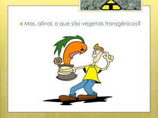  Mas, afinal, o que são vegetais transgênicos?
 