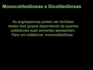 Monocotiledôneas e Dicotiledôneas
As angiospermas podem ser divididas
nestes dois grupos dependendo de quantos
cotilédones suas sementes apresentam.
Para um cotilédone, monocotiledônea.
 
