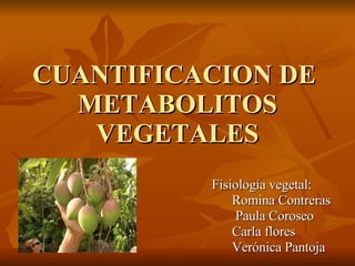 CUANTIFICACION DE  METABOLITOS VEGETALES Fisiología vegetal: Romina Contreras Paula Coroseo  Carla flores Verónica Pantoja  