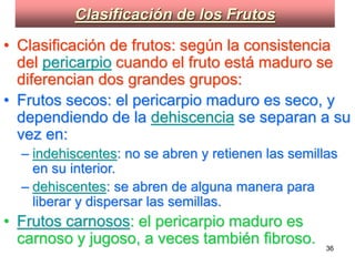 Clasificación de los Frutos Clasificación de frutos: según la consistencia del  pericarpio  cuando el fruto está maduro se diferencian dos grandes grupos:   Frutos secos: el pericarpio maduro es seco, y dependiendo de la  dehiscencia  se separan a su vez en:  indehiscentes : no se abren y retienen las semillas en su interior.  dehiscentes : se abren de alguna manera para liberar y dispersar las semillas.  Frutos carnosos : el pericarpio maduro es carnoso y jugoso, a veces también fibroso. 