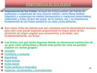 Importancia de los frutos Importancia de los frutos : aunque los frutos pueden ser fuente de productos o sustancias de muy diverso interés, como fibras textiles (algodón) y sustancias de interés farmacéutico o medicinal (adormidera), colorantes y tintes (frutos del nogal, de la morera, etc.), la importancia fundamental de los frutos estriba en su valor como alimento.   Son varios miles las plantas que son utilizadas para la alimentación humana pero sólo unas pocas especies proporcionan la mayor parte de los alimentos de origen vegetal que consumimos, y de éstas, son, fundamentalmente, los frutos.   Los frutos son por tanto órganos donde se almacenan sustancias de un gran valor alimenticio y desde este punto de vista se pueden separar en varios grupos:  cereales   hortalizas y verduras   legumbres   frutos dulces   frutos secos   frutos exóticos o tropicales   especias, condimentos y aromatizantes   