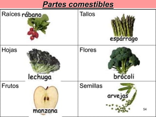 Partes comestibles Semillas Frutos Flores Hojas Tallos Raíces 