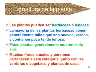 Estructura de la planta Las plantas pueden ser  herbáceas  o  leñosas .   La mayoría de las plantas herbáceas tienen generalmente tallos que son suaves, verdes, y contienen poco tejido leñoso.  Estas plantas generalmente mueren cada año.  Muchas flores anuales y perennes pertenecen a esta categoría, junto con las verduras o vegetales y plantas de casa.   