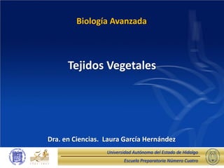 Escuela Preparatoria Número Cuatro
Universidad Autónoma del Estado de Hidalgo
Tejidos Vegetales
Biología Avanzada
Dra. en Ciencias. Laura García Hernández
 
