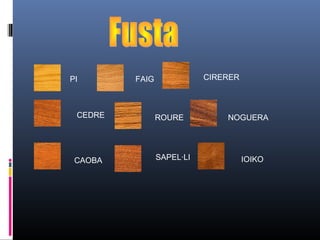 PI FAIG CIRERER
CEDRE ROURE NOGUERA
CAOBA SAPEL·LI IOIKO
 