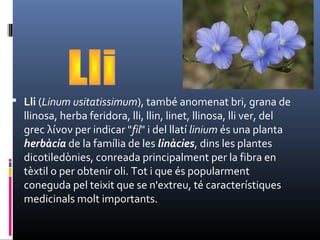 Lli (Linum usitatissimum), també anomenat bri, grana de
llinosa, herba feridora, lli, llin, linet, llinosa, lli ver, del
grec λίνον per indicar "fil" i del llatí linium és una planta
herbàcia de la família de les linàcies, dins les plantes
dicotiledònies, conreada principalment per la fibra en
tèxtil o per obtenir oli. Tot i que és popularment
coneguda pel teixit que se n'extreu, té característiques
medicinals molt importants.
 
