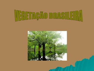 VEGETAÇÃO BRASILEIRA 