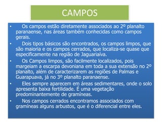 CAMPOS 
• Os campos estão diretamente associados ao 2º planalto 
paranaense, nas áreas também conhecidas como campos 
gerais. 
• Dois tipos básicos são encontrados, os campos limpos, que 
são maioria e os campos cerrados, que localiza-se quase que 
especificamente na região de Jaguariaíva. 
• Os Campos limpos, são facilmente localizados, pois 
margeiam a escarpa devoniana em toda a sua extensão no 2º 
planalto, além de caracterizarem as regiões de Palmas e 
Guarapuava, já no 3º planalto paranaense. 
• Eles sempre aparecem em áreas sedimentares, onde o solo 
apresenta baixa fertilidade. É uma vegetação 
predominantemente de gramíneas. 
• Nos campos cerrados encontramos associados com 
gramíneas alguns arbustos, que é o diferencial entre eles. 
 