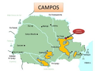CAMPOS 
CAMPOS 
CERRADOS 
 