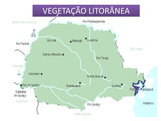 VEGETAÇÃO LITORÂNEA 
 