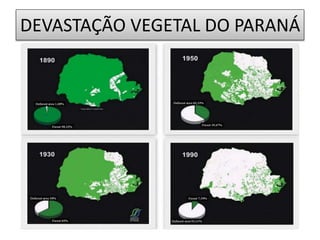 DEVASTAÇÃO VEGETAL DO PARANÁ 
 
