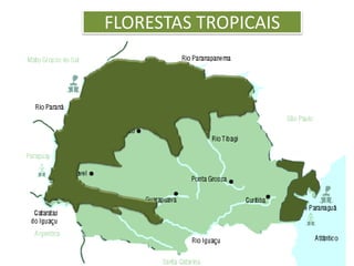 FLORESTAS TROPICAIS 
 