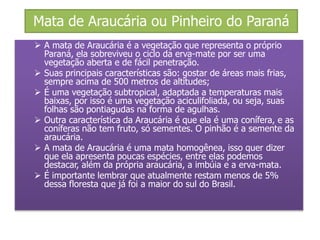 Mata de Araucária ou Pinheiro do Paraná 
 A mata de Araucária é a vegetação que representa o próprio 
Paraná, ela sobreviveu o ciclo da erva-mate por ser uma 
vegetação aberta e de fácil penetração. 
 Suas principais características são: gostar de áreas mais frias, 
sempre acima de 500 metros de altitudes; 
 É uma vegetação subtropical, adaptada a temperaturas mais 
baixas, por isso é uma vegetação aciculifoliada, ou seja, suas 
folhas são pontiagudas na forma de agulhas. 
 Outra característica da Araucária é que ela é uma conífera, e as 
coníferas não tem fruto, só sementes. O pinhão é a semente da 
araucária. 
 A mata de Araucária é uma mata homogênea, isso quer dizer 
que ela apresenta poucas espécies, entre elas podemos 
destacar, além da própria araucária, a imbúia e a erva-mata. 
 É importante lembrar que atualmente restam menos de 5% 
dessa floresta que já foi a maior do sul do Brasil. 
 