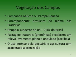 Vegetação dos Campos
• Campanha Gaúcha ou Pampa Gaúcho
• Correspondente brasileiro do Bioma das
  Pradarias
• Ocupa o sudoeste do RS – 2,4% do Brasil
• Pastagens naturais (gramíneas) recobrem um
  relevo levemente plano e ondulado (coxilhas)
• O uso intenso pela pecuária e agricultura tem
  acarretado a arenização
                                              37
 