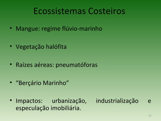 Ecossistemas Costeiros
• Mangue: regime flúvio-marinho

• Vegetação halófita

• Raízes aéreas: pneumatóforas

• “Berçário Marinho”

• Impactos: urbanização,     industrialização   e
  especulação imobiliária.
                                                52
 