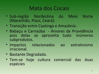 Mata dos Cocais
• Sub-região Nordestina do Meio Norte
  (Maranhão, Piauí, Ceará).
• Transição entre Caatinga e Amazônia .
• Babaçu e Carnaúba - Árvores da Providência
  pois delas se aproveita tudo: inúmeros
  subprodutos.
• Impactos relacionados ao extrativismo
  irracional.
• Bastante Degradada.
• Tem-se hoje cultura comercial das duas
  espécies
                                           55
 