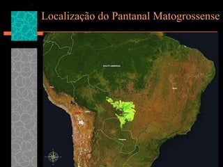 Localização do Pantanal Matogrossense 