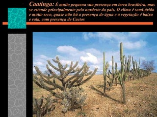 Caatinga:  É muito pequena sua presença em terra brasileira, mas se estende principalmente pelo nordeste do país. O clima ...