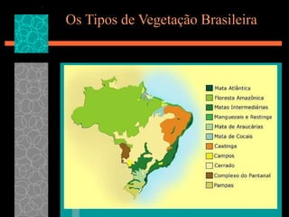 Os Tipos de Vegetação Brasileira 