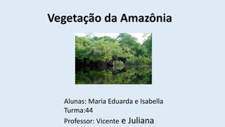 Vegetação da Amazônia
Alunas: Maria Eduarda e Isabella
Turma:44
Professor: Vicente e Juliana
 