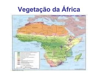 Vegetação da África 