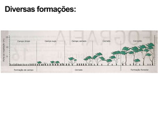 Diversas formações:
 