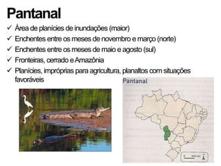 Pantanal
   Área de planícies de inundações (maior)
   Enchentes entre os meses de novembro e março (norte)
   Enchentes entre os meses de maio e agosto (sul)
   Fronteiras, cerrado e Amazônia
   Planícies, impróprias para agricultura, planaltos com situações
    favoráveis
 