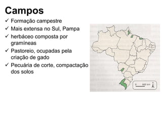 Campos
 Formação campestre
 Mais extensa no Sul, Pampa
 herbáceo composta por
  gramíneas
 Pastoreio, ocupadas pela
  criação de gado
 Pecuária de corte, compactação
  dos solos
 