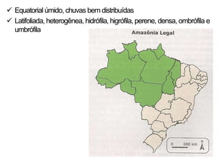  Equatorial úmido, chuvas bem distribuídas
 Latifoliada, heterogênea, hidrófila, higrófila, perene, densa, ombrófila e
  umbrófila
 
