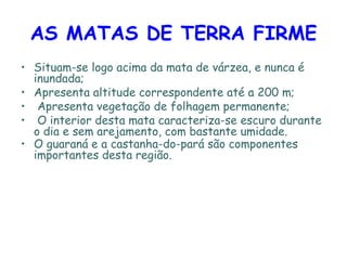 AS MATAS DE TERRA FIRME   Situam-se logo acima da mata de várzea, e nunca é inundada; Apresenta altitude correspondente até a 200 m; Apresenta vegetação de folhagem permanente; O interior desta mata caracteriza-se escuro durante o dia e sem arejamento, com bastante umidade.  O guaraná e a castanha-do-pará são componentes importantes desta região. 