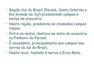 R egião Sul do Brasil (Paraná, Santa Catarina e Rio Grande do Sul) predominam campos e matas de araucária.  Nesta região, predomina os chamados campos limpos.  Entre as matas, destaca-se mata de araucária ou Pinheiro-do-Paraná.  É abundante, principalmente nos campos das serras do sul do Brasil.  Neste local, também é nativa a Erva-Mate. 