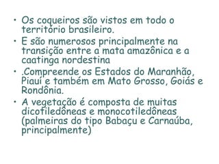 Os coqueiros são vistos em todo o território brasileiro.  E são numerosos principalmente na transição entre a mata amazônica e a caatinga nordestina .Compreende os Estados do Maranhão, Piauí e também em Mato Grosso, Goiás e Rondônia.  A vegetação é composta de muitas dicotiledôneas e monocotiledôneas (palmeiras do tipo Babaçu e Carnaúba, principalmente) 